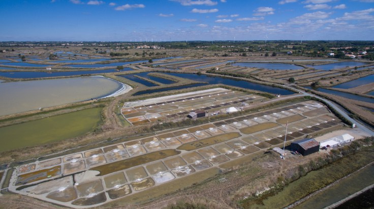 marais-fiefsvendeens-mehdimedia